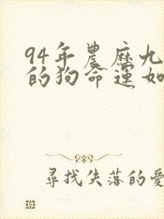 94年农历九月的狗命运如何封面