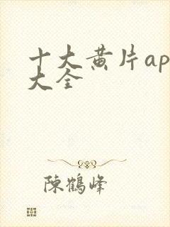 十大黄片app大全