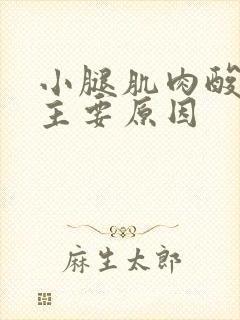 小腿肌肉酸痛的主要原因