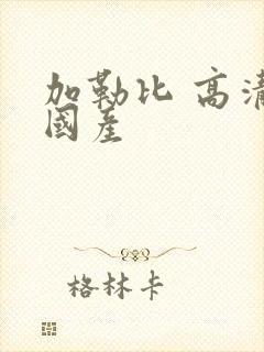 加勒比 高清 国产