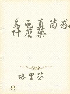 乌龟真菌感染用什么药