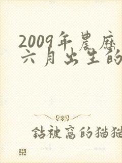 2009年农历六月出生的男孩命运如何
