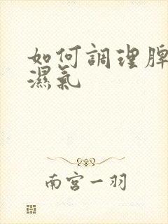 如何调理脾胃祛湿气