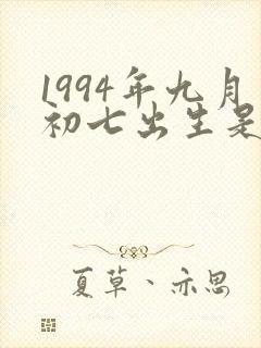 1994年九月初七出生是什么命