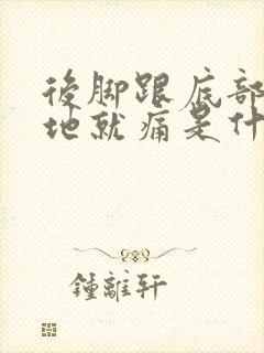 后脚跟底部脚踩地就痛是什么原因封面