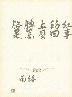 胳膊上的红疹子是怎么回事