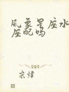 风象星座水象星座配吗封面