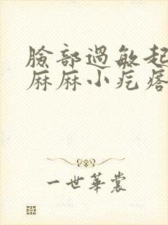 脸部过敏起密密麻麻小疙瘩用什么药