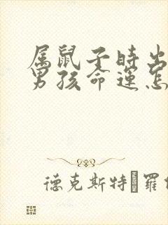 属鼠子时出生的男孩命运怎么样