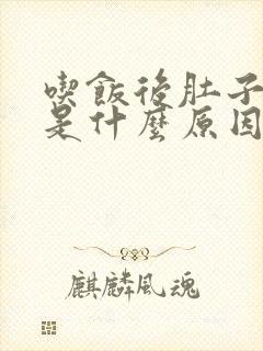 吃饭后肚子胀气是什么原因