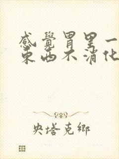 感觉胃里一直有东西不消化