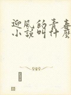 迎风的青春原著小说叫什么