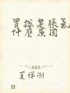 胃总是胀气打嗝什么原因封面