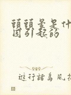 头头晕是什么原因引起的