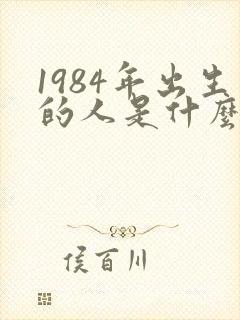 1984年出生的人是什么命封面