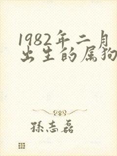 1982年二月出生的属狗女人一生命运