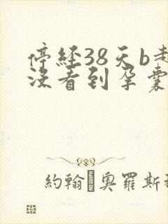 停经38天b超没看到孕囊