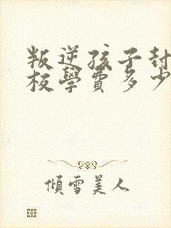 叛逆孩子封闭学校学费多少