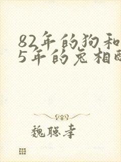 82年的狗和75年的兔相配婚姻如何