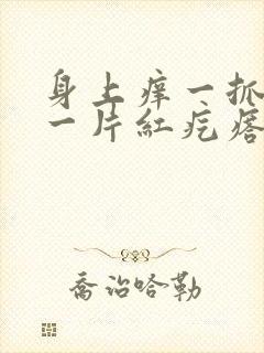 身上痒一抓就红一片红疙瘩