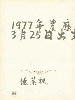 1977年农历3月25日出生的人命运
