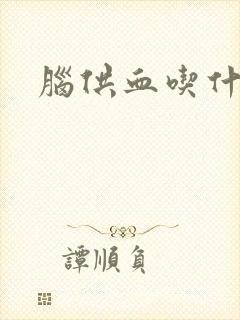 脑供血吃什么药