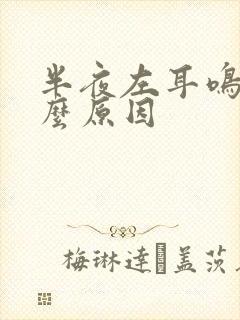 半夜左耳鸣是什么原因