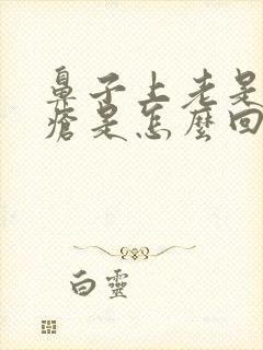 鼻子上老是长痤疮是怎么回事