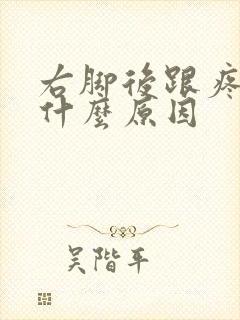 右脚后跟疼痛是什么原因