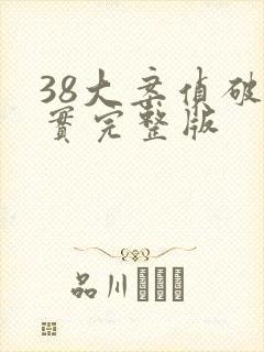 38大案侦破纪实完整版