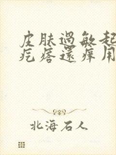 皮肤过敏起小红疙瘩还痒用什么药封面