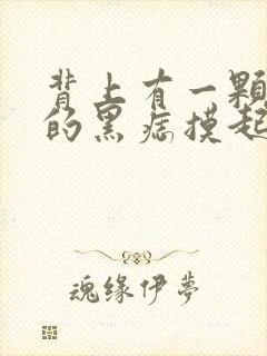 背上有一颗凸起的黑痣摸起来软软的