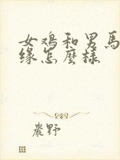 女鸡和男马的姻缘怎么样