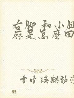 右脚 和小腿发麻是怎么回事