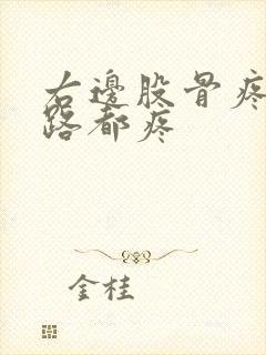 右边股骨疼痛走路都疼