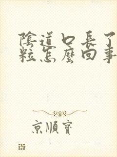 阴道口长了小肉粒怎么回事