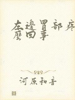 左边胃部疼是怎么回事封面