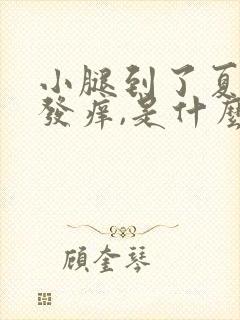 小腿到了夏天就发痒,是什么原因封面