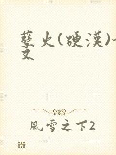 孽火(硬汉)今又