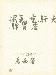 湿气重,肝火旺,脾胃虚