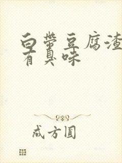 白带豆腐渣并带有臭味