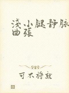 浅小腿静脉出现曲张封面