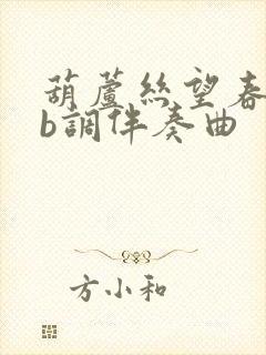 葫芦丝望春风降b调伴奏曲