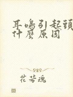 耳鸣引起头晕是什么原因