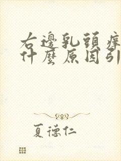 右边乳头痒痒是什么原因引起的