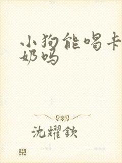 小狗能喝卡士酸奶吗封面