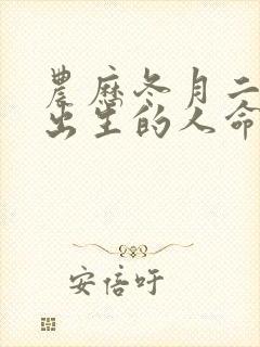 农历冬月二十八出生的人命运怎样