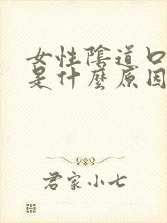 女性阴道口长疣是什么原因