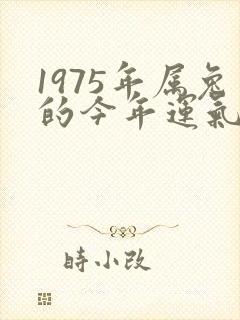 1975年属兔的今年运气如何