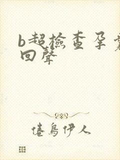 b超检查孕囊无回声封面